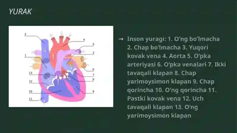 Yurakning turli konfiguratsiyalari 3