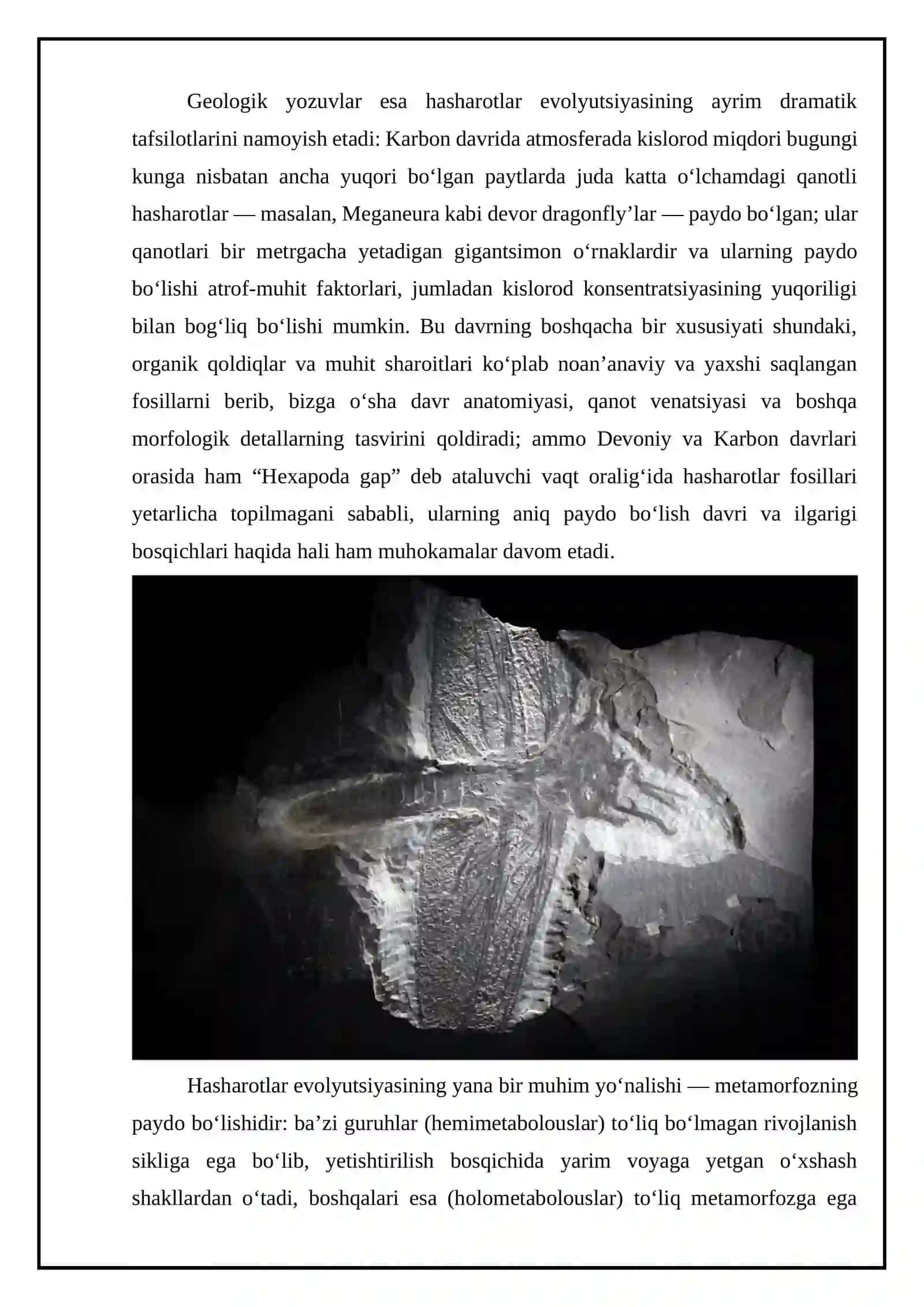Hasharotlar evolyutsiyasi 3