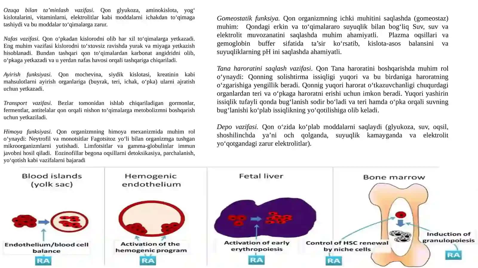 QON TIZIMINING FIZIOLOGIYASI 3