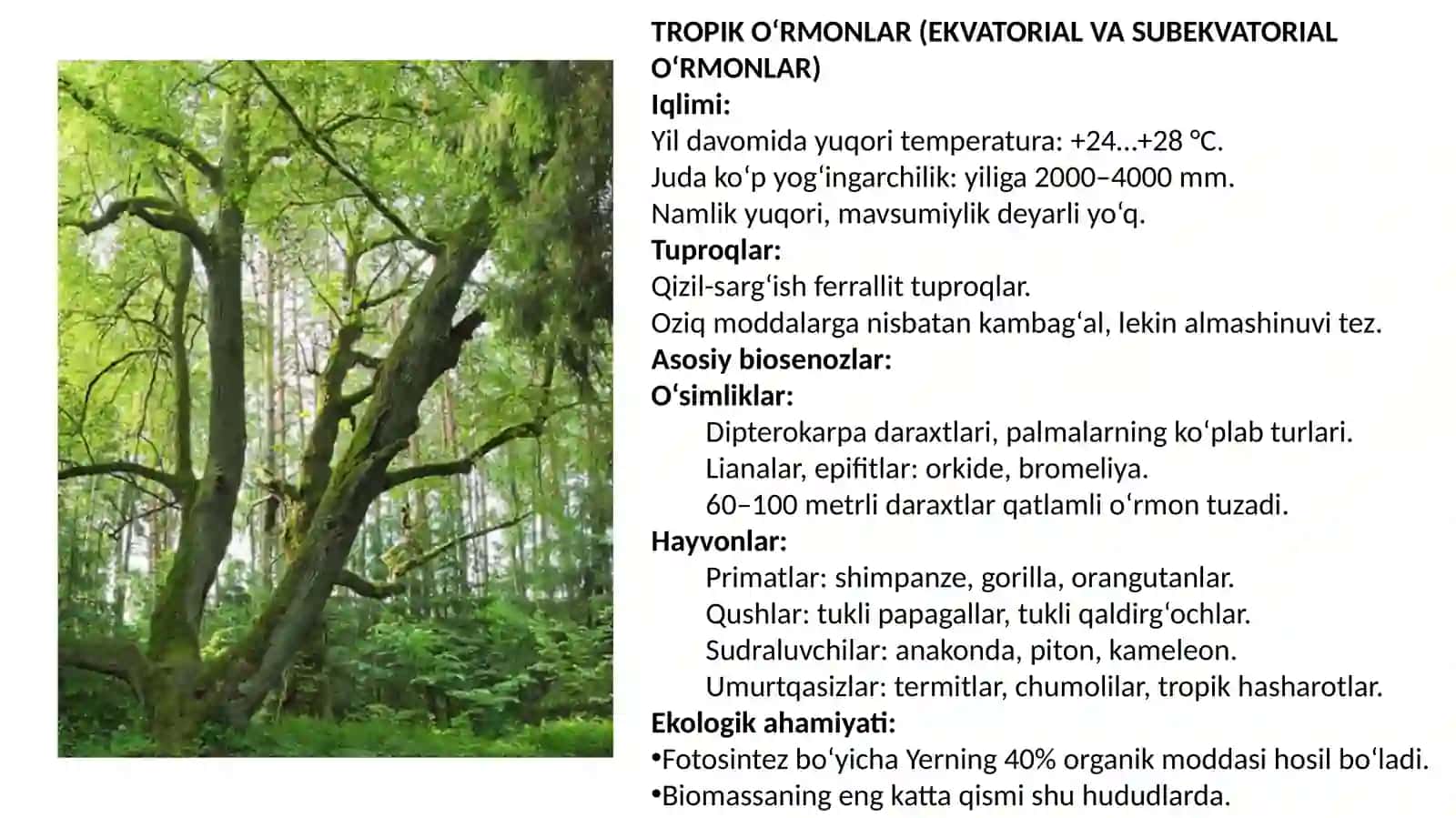 Yersharida quruqlik ekosistemalarining shartli iqlimiy guruhlari va ularning muhim biosenozlari 3