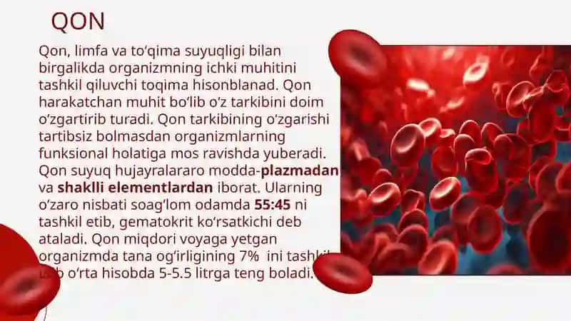 Biriktiruvchi to'qimalar (Blood, Lymph, Hemopoiesis) 3
