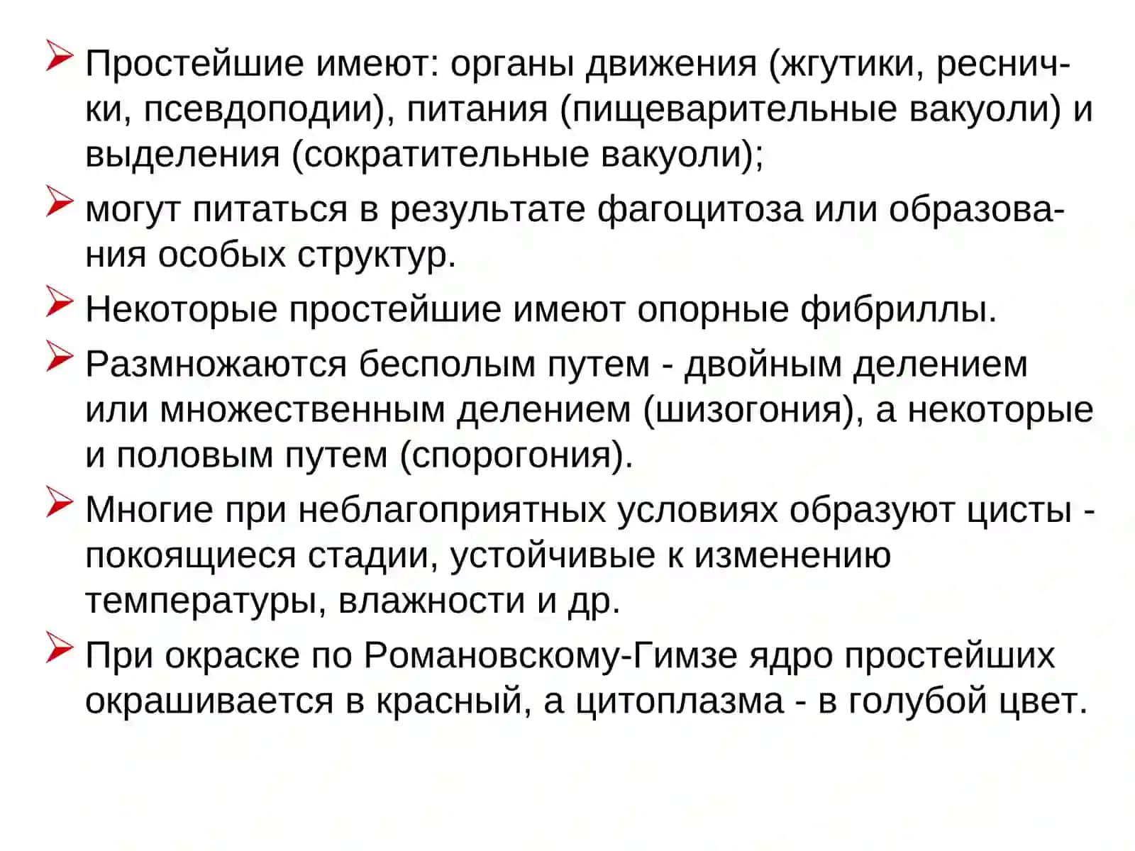 Простейшие 3