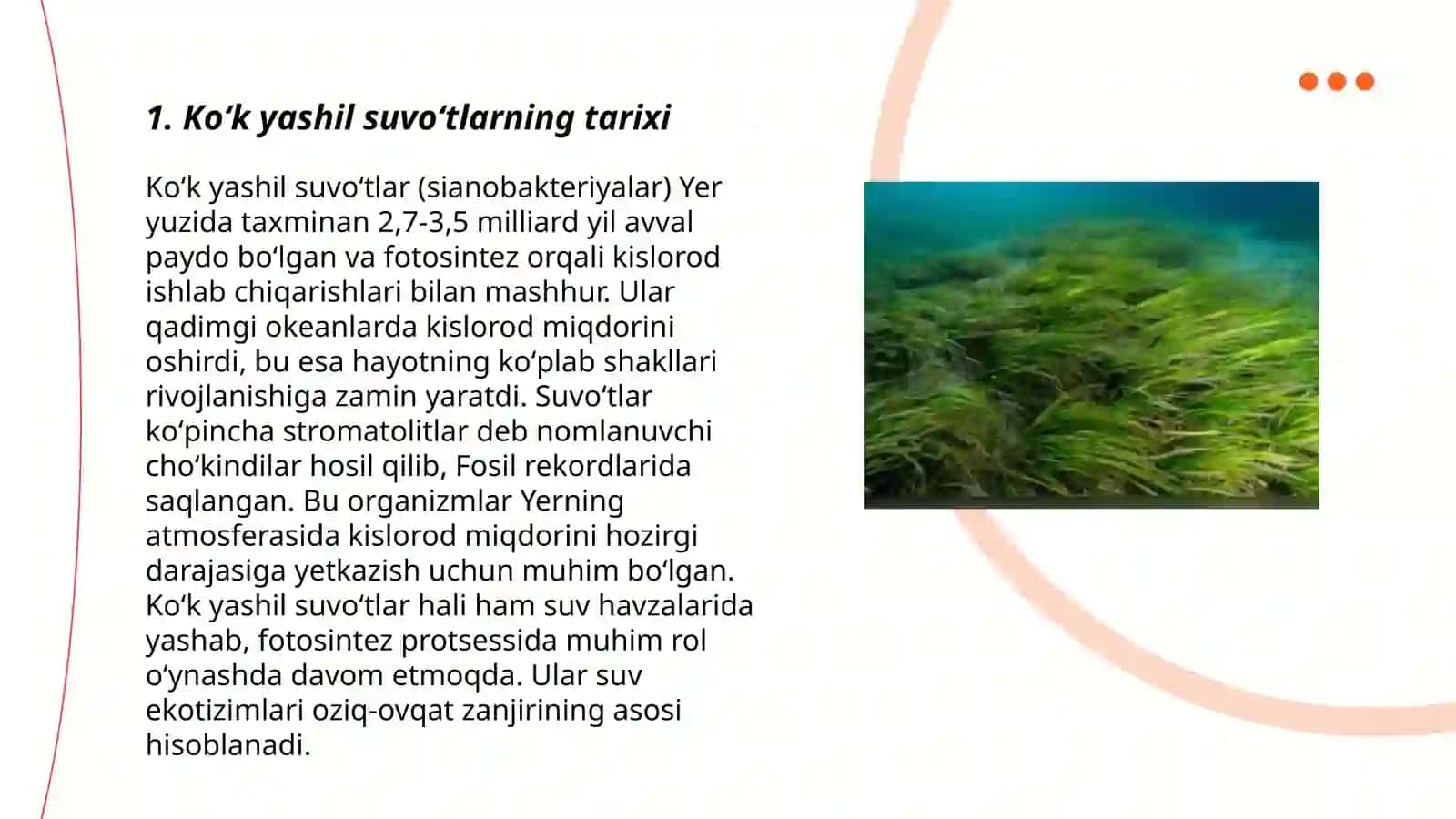 Koʻk yashil suvoʻtlar 3