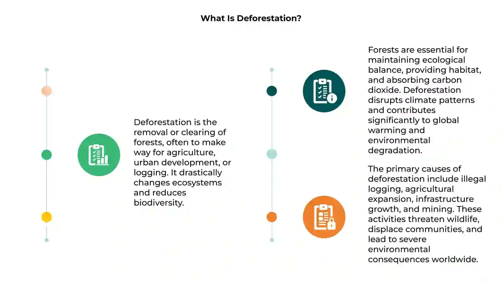 Deforestation 3