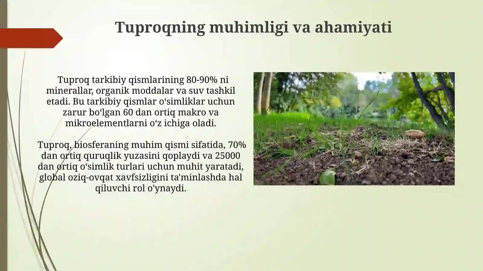 Tuproqni muxofaza qilish va ekologik monitoring olib borish 3