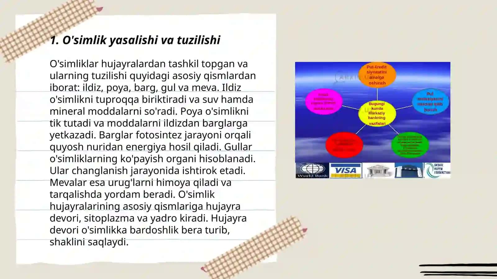 O'simlik yasalishi va tuzilishi 3