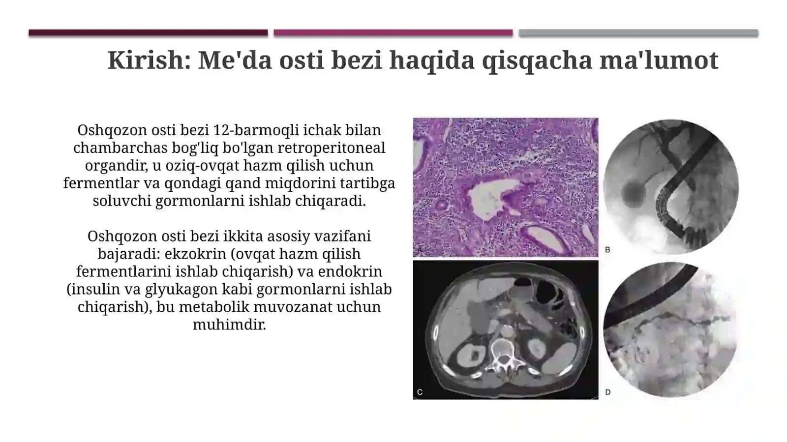 Oshqozon osti bezi anatomiyasi va fiziologiyasi 3