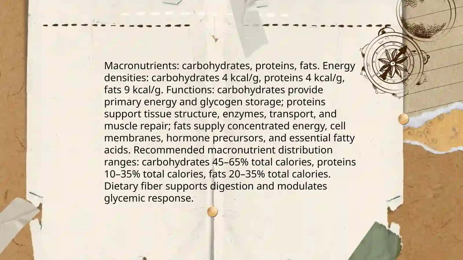 Plan: Nutrition and Macronutrients 3