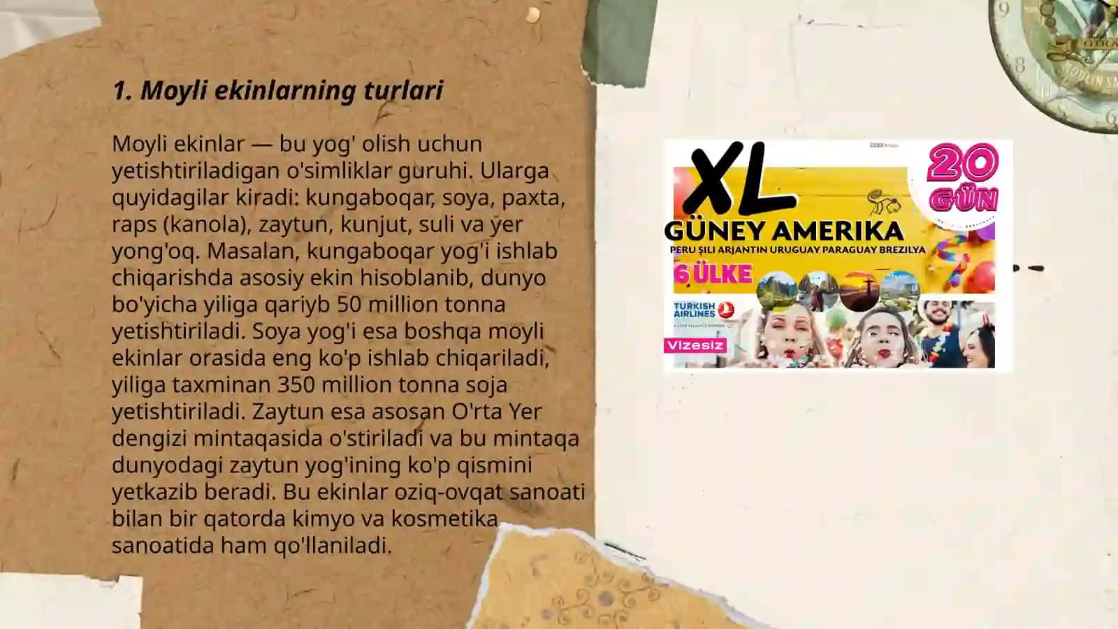 Moyli ekinlarning turlari va agrotexnikasi 3