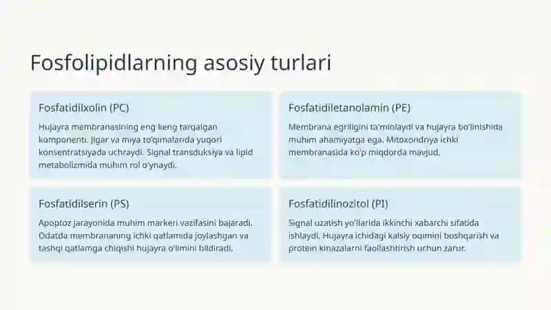 Fosfolipidlar almashinuvi buzilishi: Patofiziologiya va Klinik Ahmiyati 3