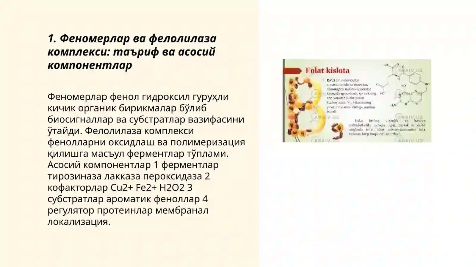 Феномерлар ва фелолилаза комплекси 3