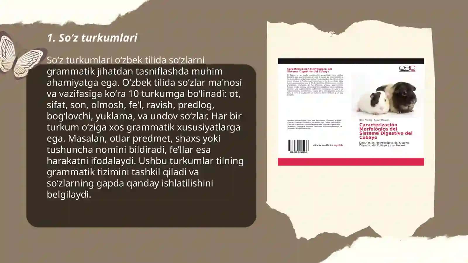 Morfalogik usul 3