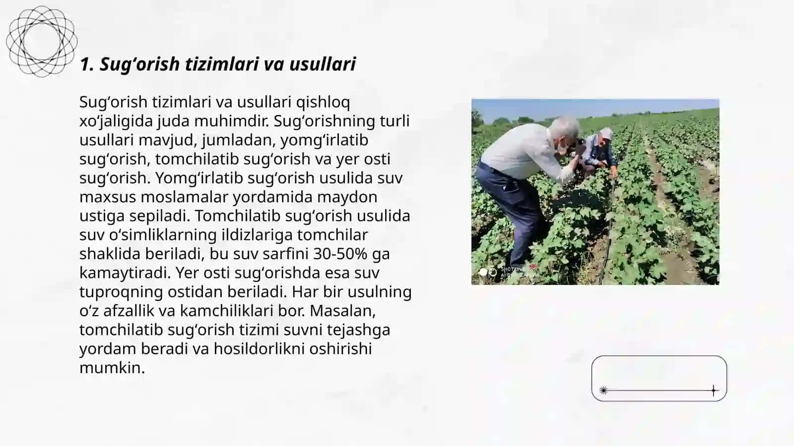 Mevali bogʻ qator oralariga ishlov berish tizimi 3