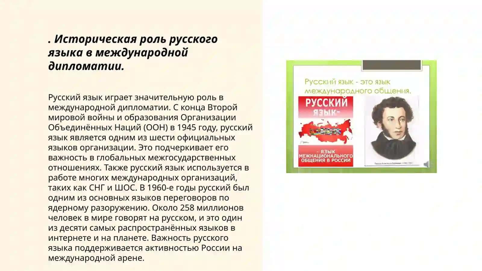 Русский язык в международном сообществе 3