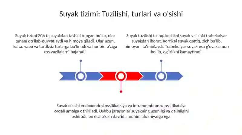 Skletvamuskullar 3