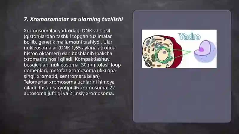 Yadroning tuzilishi va uning vazifasi 3