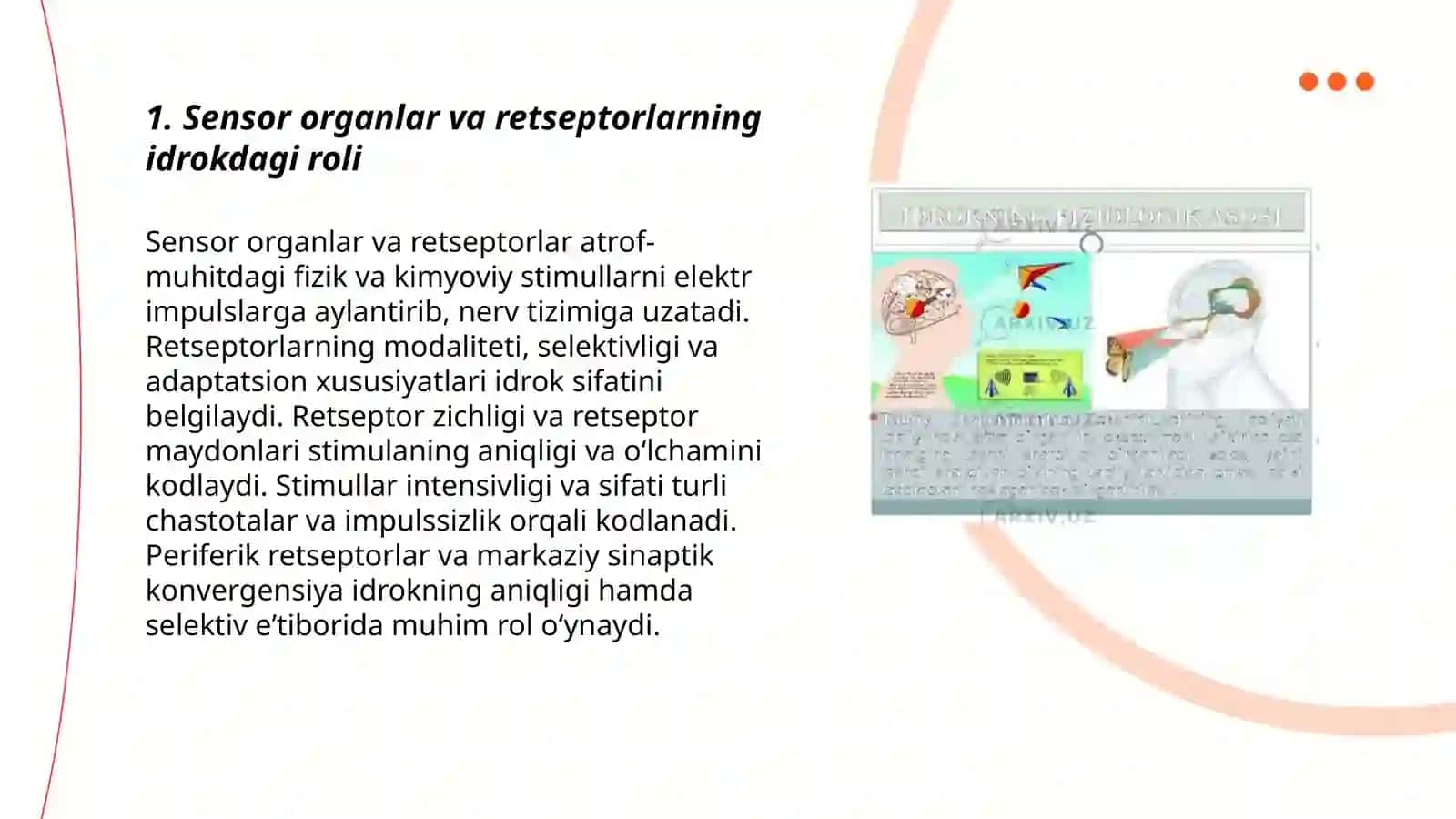 Idrokning nerv-fiziologik asoslari. Idrokning murakkabligi. Idrokda kuzatish va kuzatuvchanlik 3