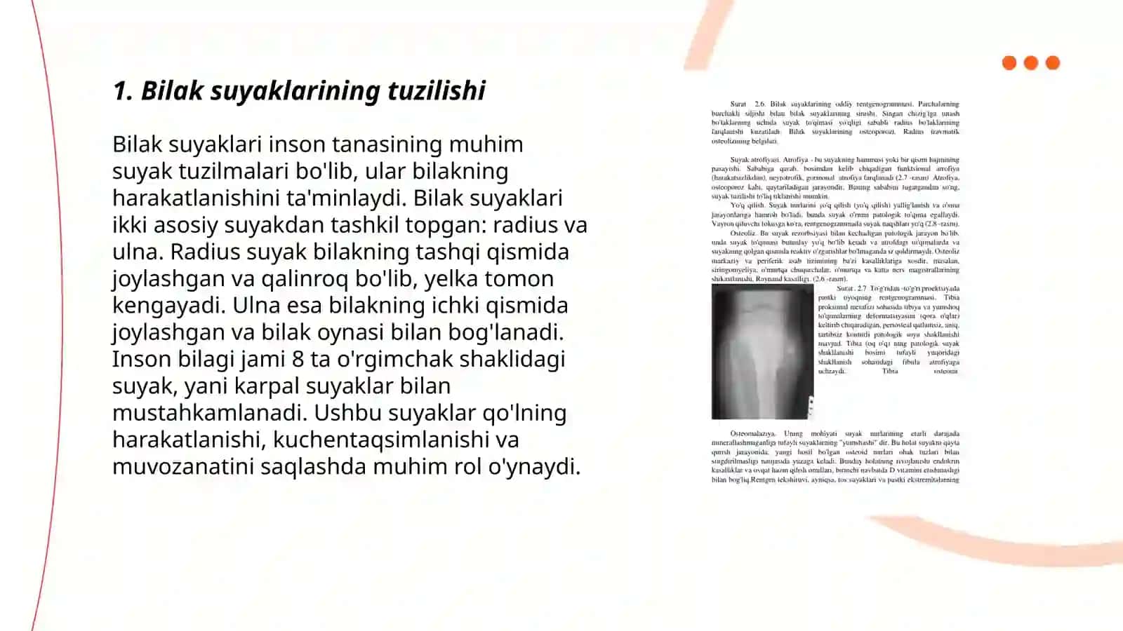 Bilak suyaklarining rentgenanatomiyasi 3