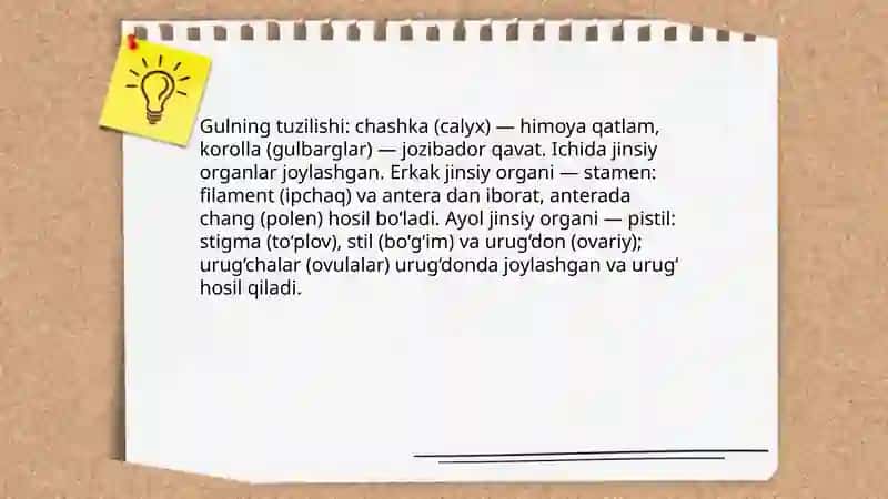 Gulning tuzilishi va jinsiy organlari 3