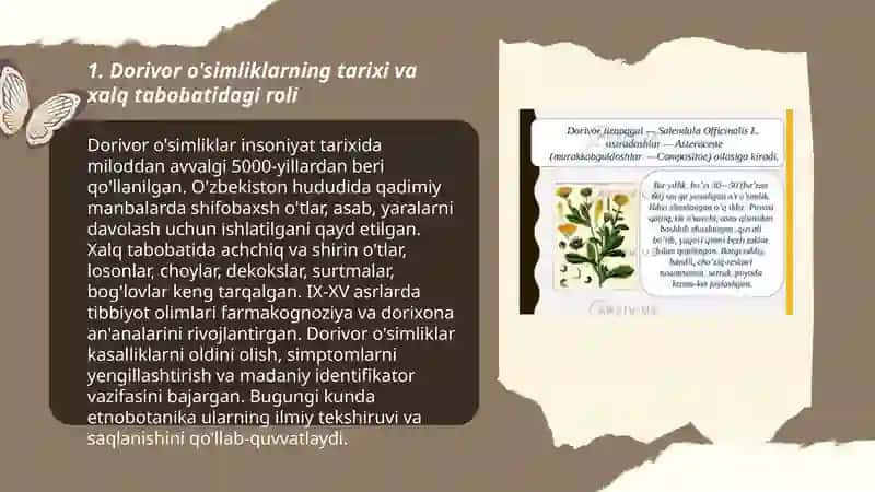 Dorivor o'simliklar 3