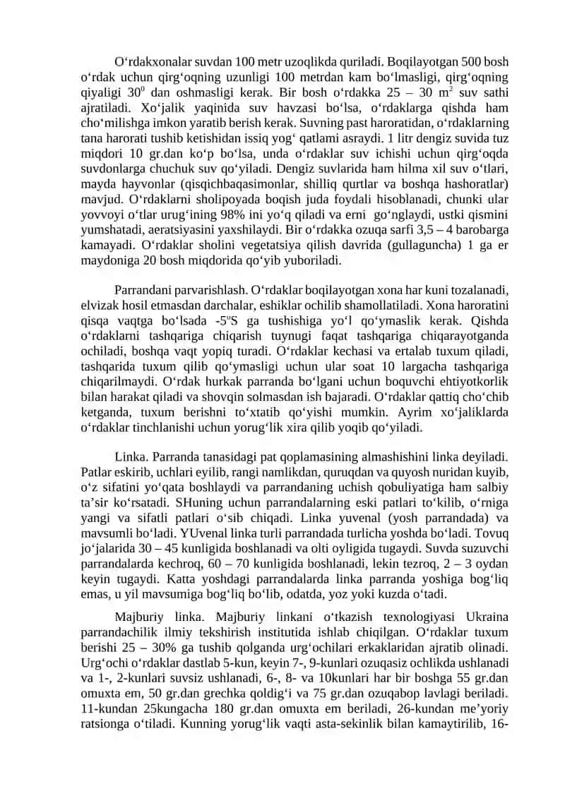 O’rdak jo’jalarini o’stirish va parvarishlash usllari 3