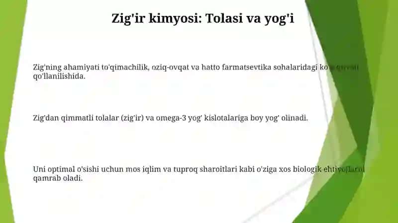 Zigir o’simligining axamiyati va biologiyasi 3