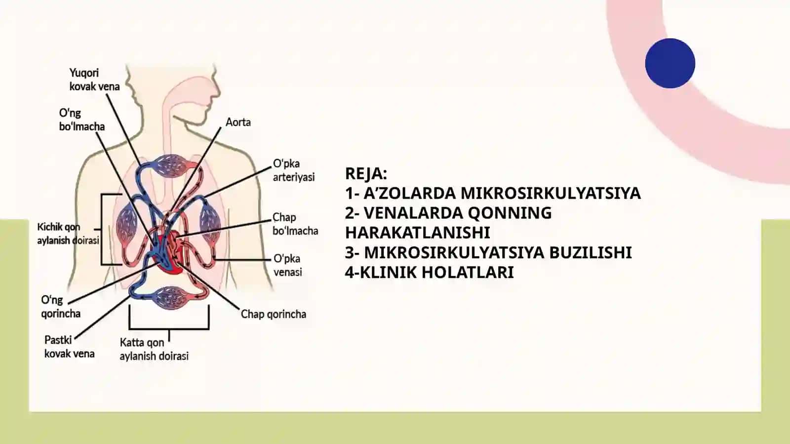Aʼzolarda mikrosirkulyatsiya. venalarda qonning harakatlanishi 3
