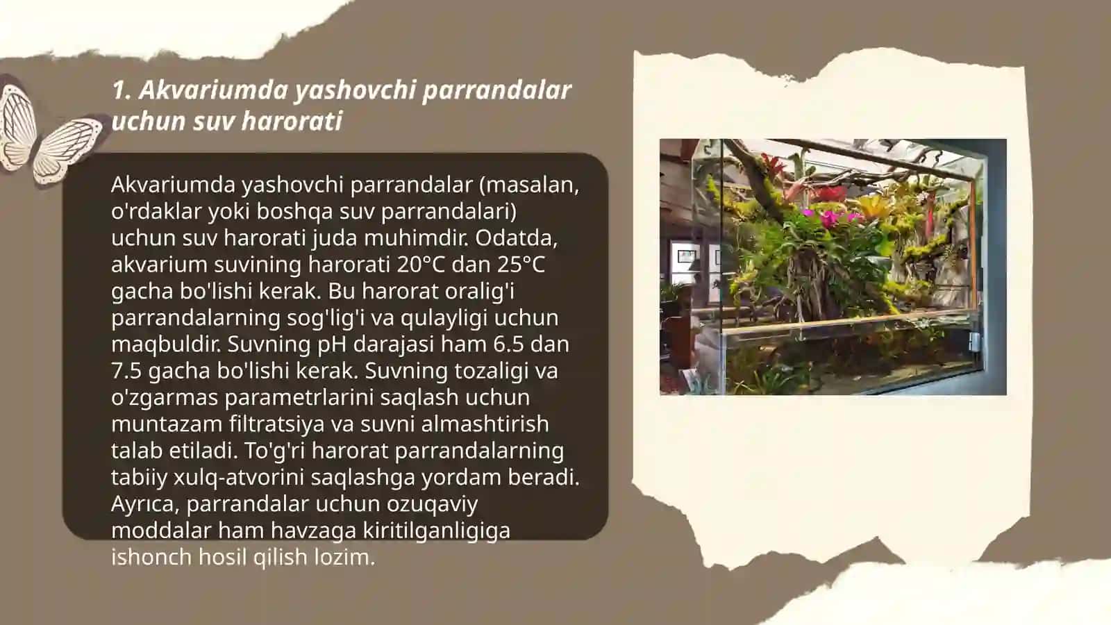 Akvariumda va terrariumda yashovchi parrandalarning yashash sharoitlari 3