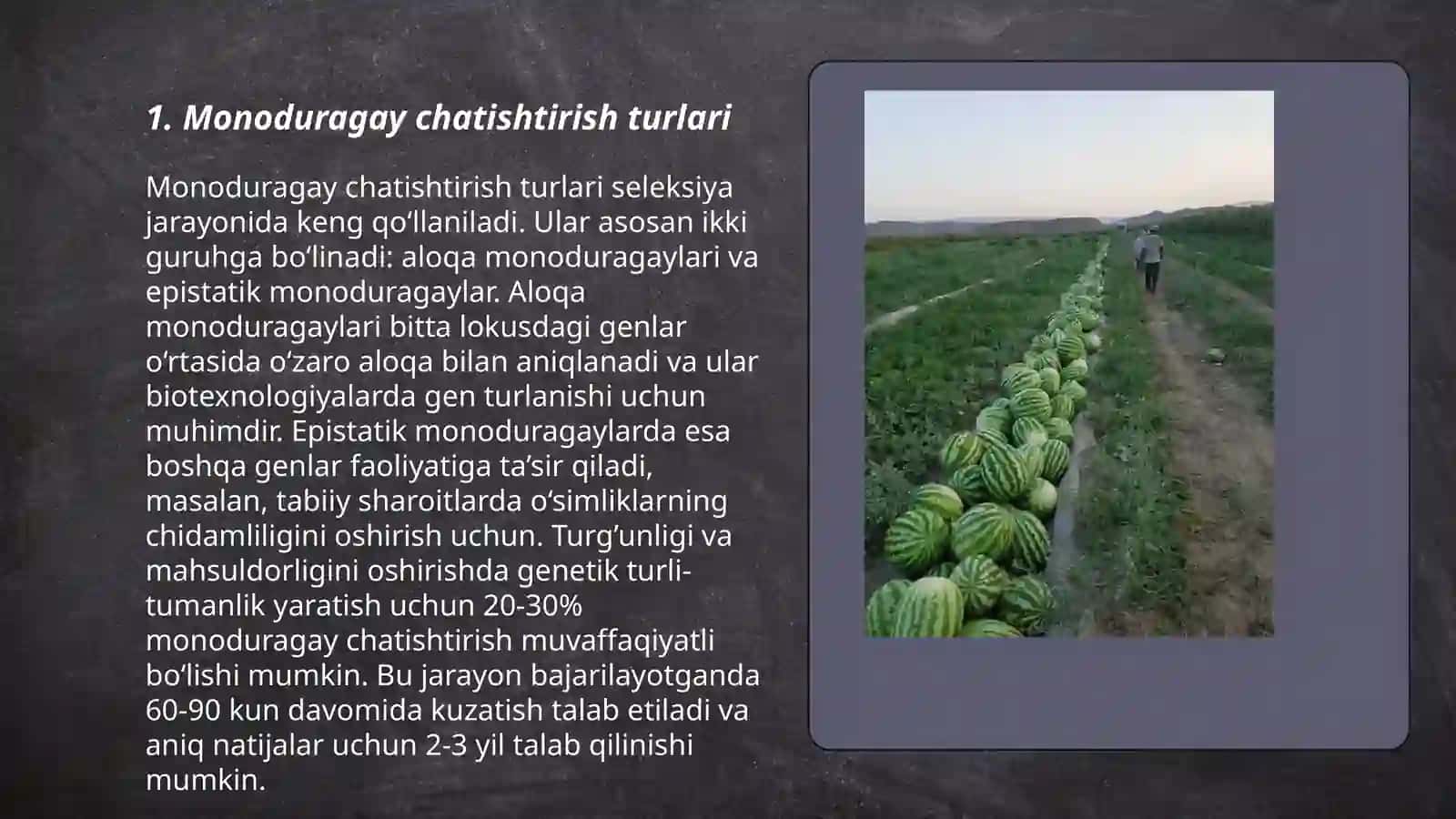 Dala ekinlari seleksiyasida monoduragay chatishtirishdan foydalanish 3
