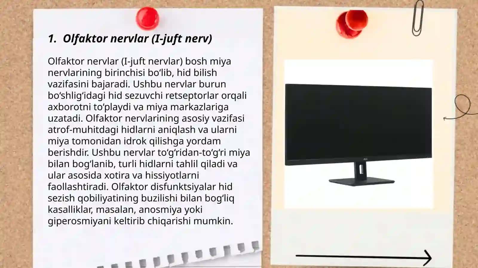 Olfaktor nervlar (I-juft nervlar) 3