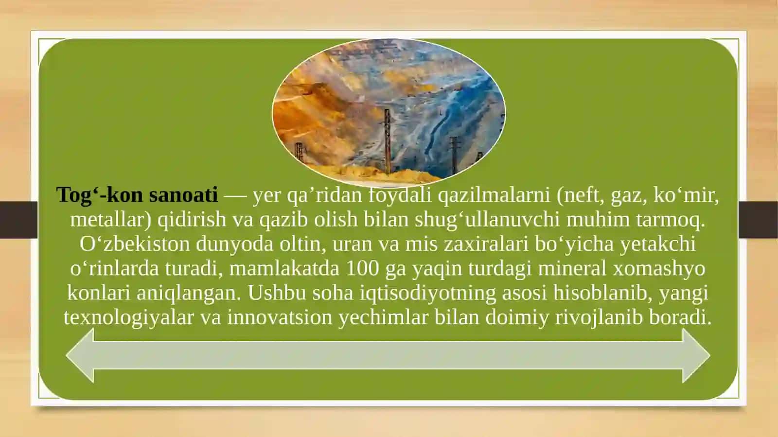 Tog‘-kon, kimyo, metallurgiya sanoati va atrof-muhit muhofazasi 3