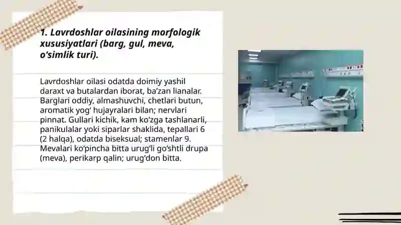 Ikki urugʻpallali oʻsimliklar sinfiga mansub oilalar: lavrdoshlar, toshyorardoshlar, zigʻirdoshlar oilalariga mansub oʻsimliklarning xarakterli xususiyatlari va tibbiyotdagi ahamiyati 3