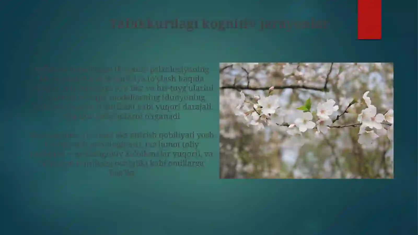 Tafakkur psixologiyasi kognitiv psixologiya sohasi sifatida 3