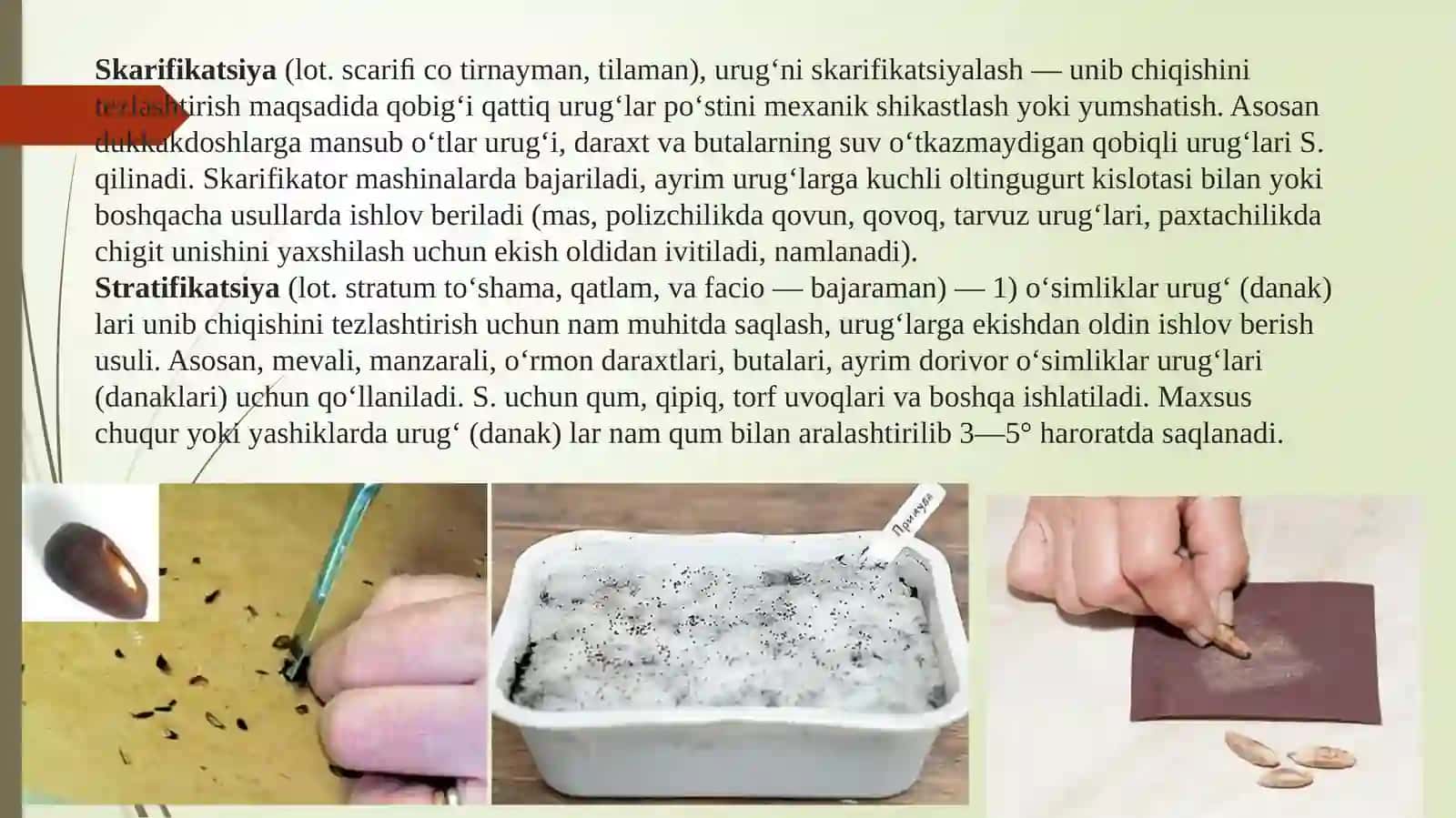 Dorivor o‘simliklar bioekologiyasining asosiy usullarini o‘rganish 3