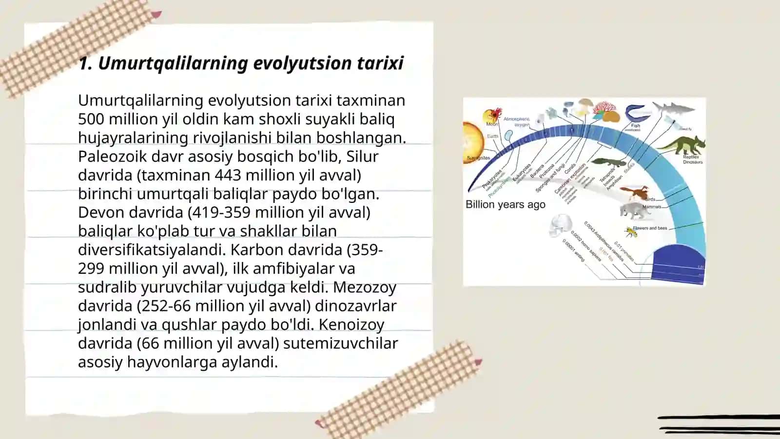Umurtqalilarning kelib chiqishi 3