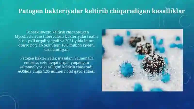 Patogen Bakteriyalar 3