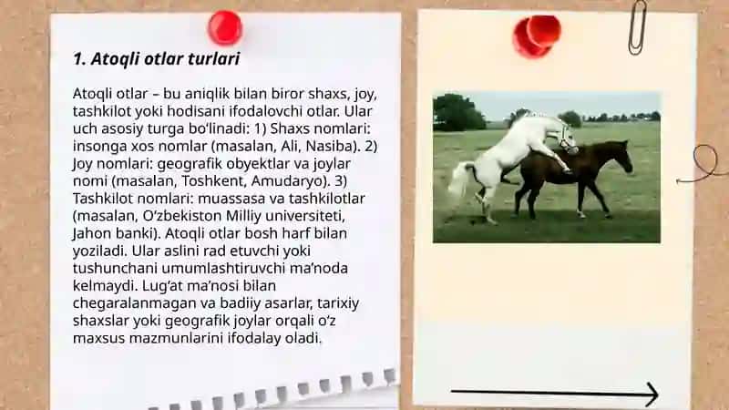 Atoqli va turdosh otlar 3