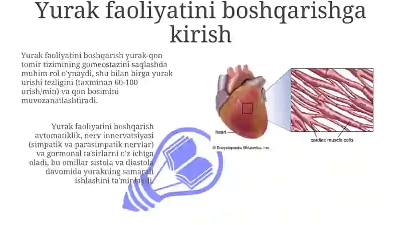 Yurak faoliyatini boshqarish 3