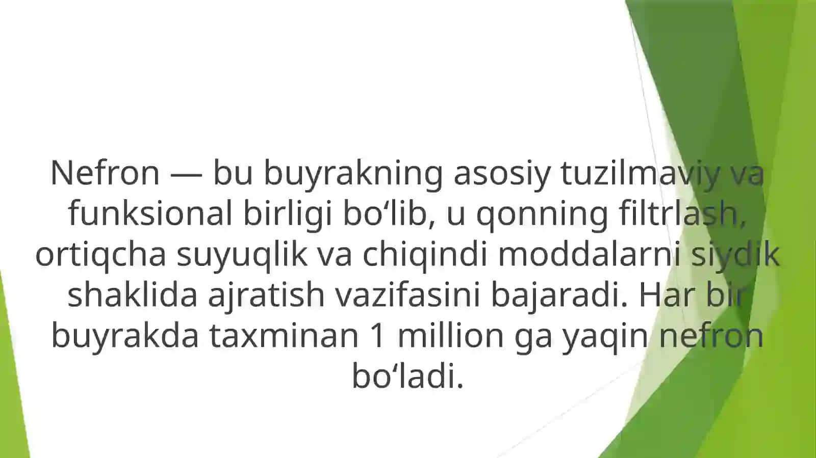 Nefron tuzilishi, qismlari, filtratsion baryer 3