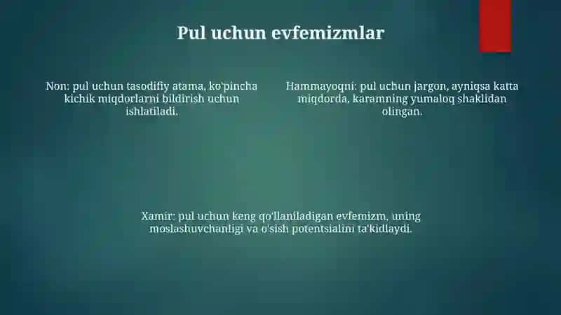Evfimizmlarga Misollar 3