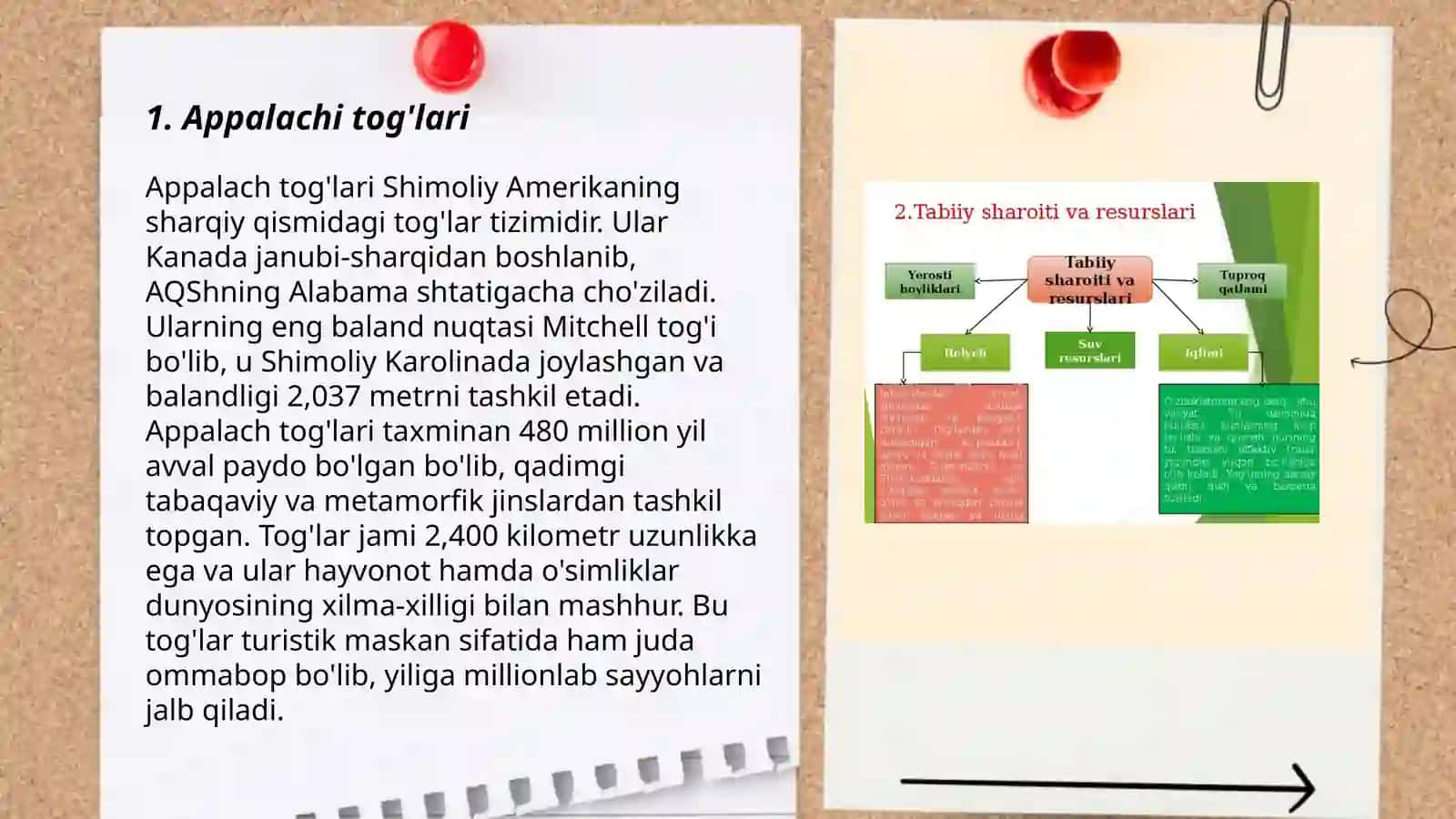 Shimoliy Amerika tabiiy geografik rayonlari 3