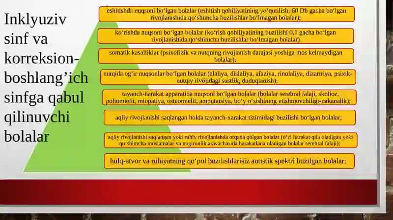 Inklyuziv Ta’lim va Tayanch Korreksion sinflariga Qabul Qurilmaydigan Bolalar 3