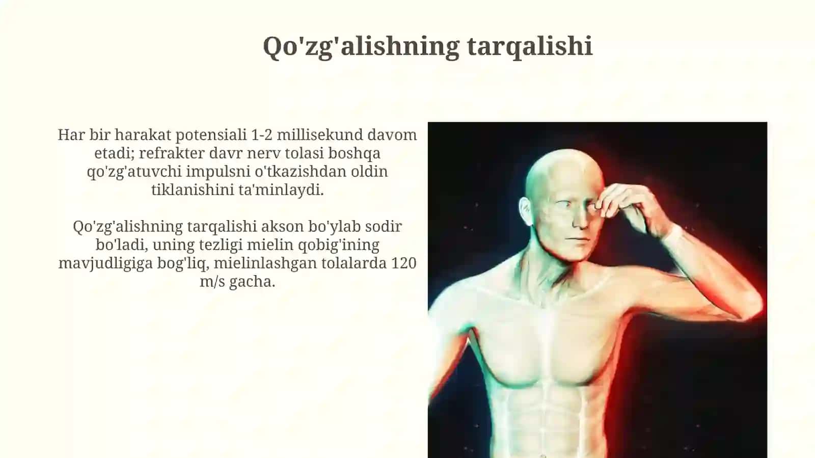 Qo'zg'aluvchan to'qimalarning tasir etish qonunlari 3