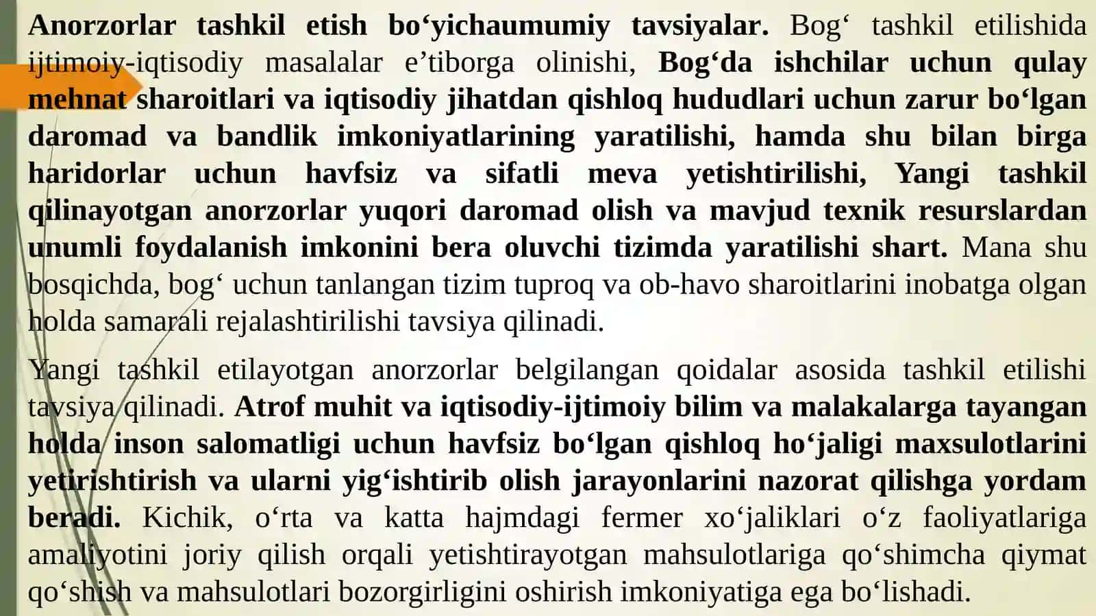 Anorzor barpo qilish va yerni ekishga tayyorlash 3