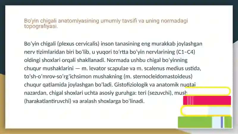 Boʻyin chigalida uchraydigan anomaliyalar 3