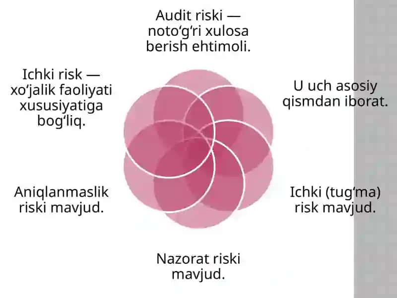 Auditda risk va muhimlik darajasini aniqlash 3