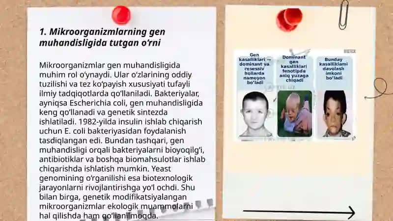 Mikroorganizmlarning gen muhandisligidagi asosiy obyekt sifatidagi afzalliklari 3