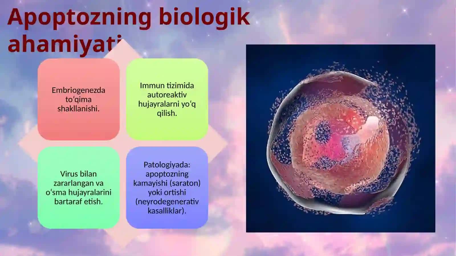 Аpoptoz «ulish signali» ekanligi toʼgʼrisida. 3