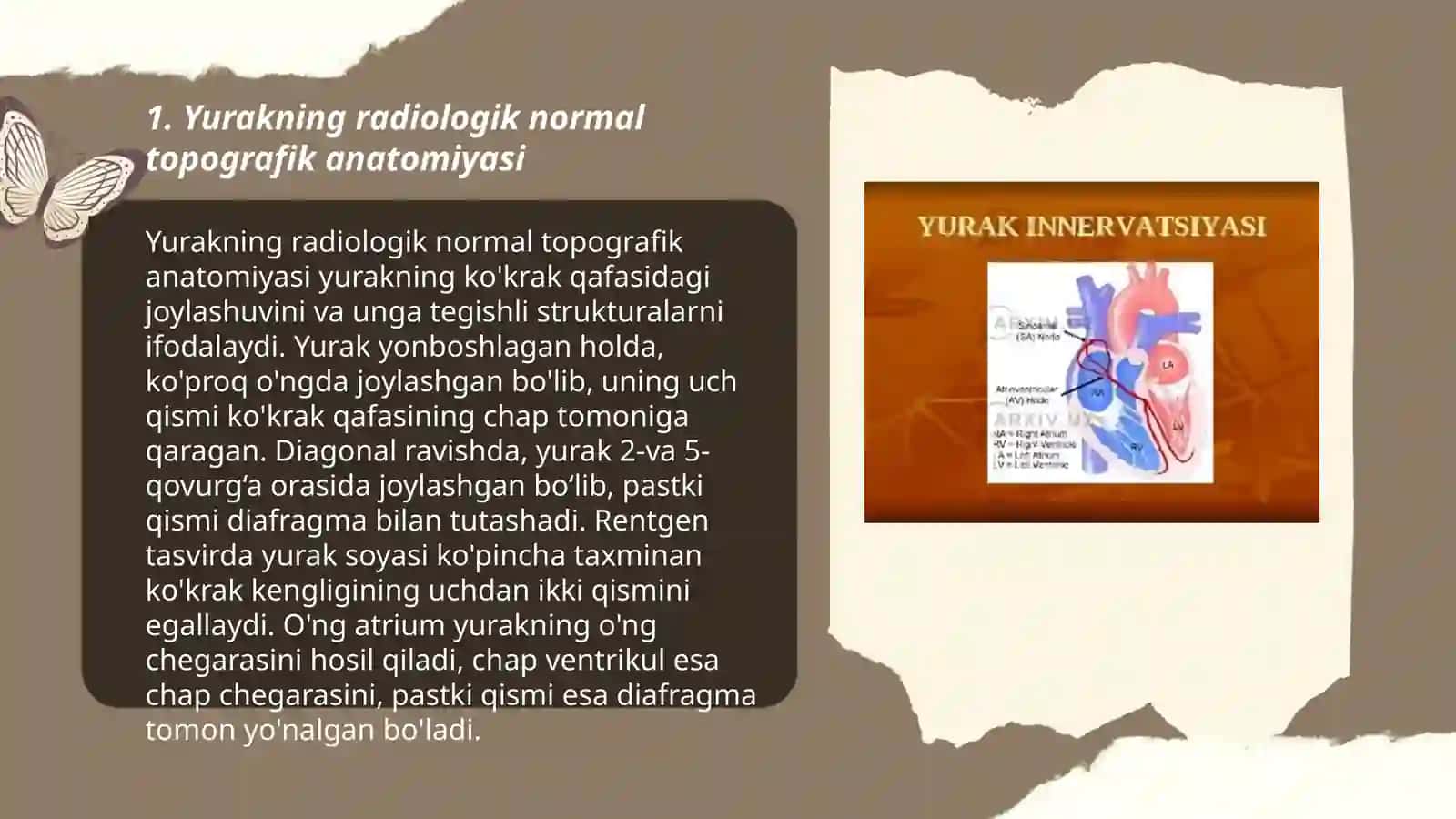 Yurak va yirik qon tomirlarning radiologik normal topografik anatomiyasi va fiziologiyasi 3