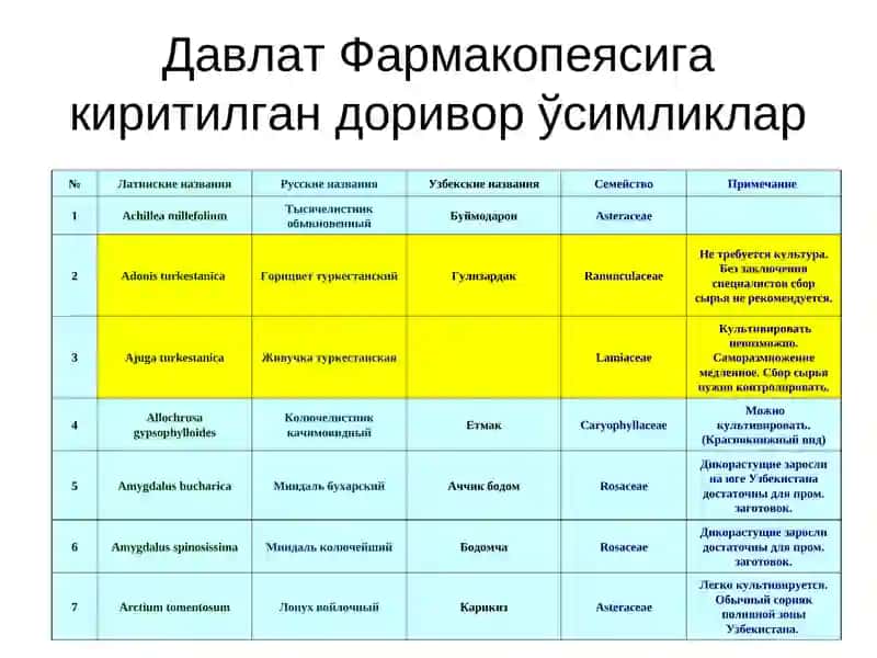 Доривор ўсимлик хом ашёларини таҳлил қилиш 3
